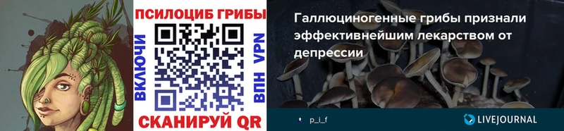 Галлюциногенные грибы прущие грибы  Купить где  Сертолово 